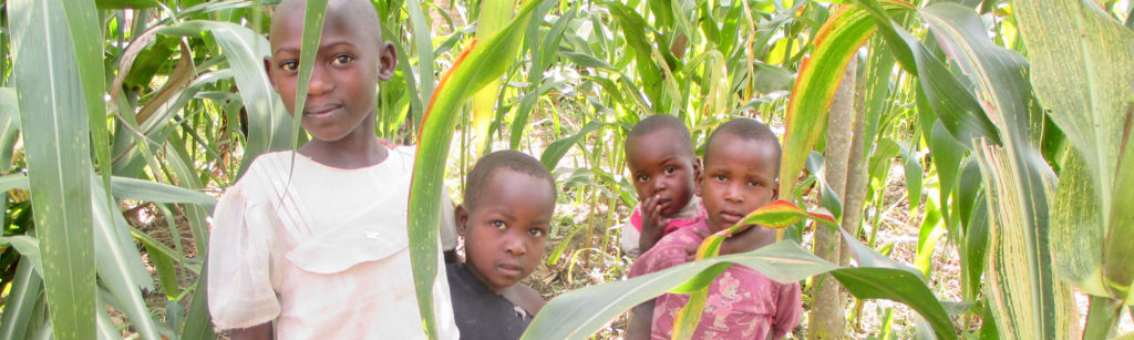 Children in a cornfield